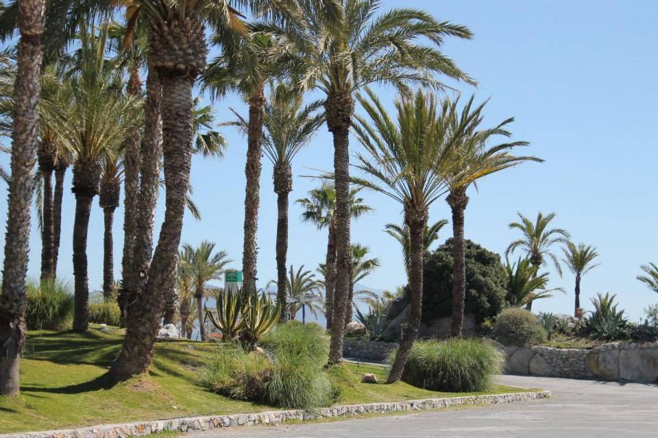Coral Paradise Apartment With Swimming Pool La Herradura  Exteriör bild